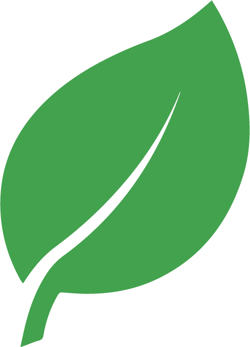 Green leaf